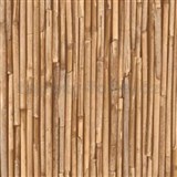 Samolepící tapety - Rufa bambus 90 cm x 15 m - AKCE