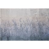 Vliesové fototapety rákosí s patinou rozměr 375 cm x 250 cm - POSLEDNÍ KUSY