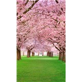 Vliesové fototapety třešňový sad rozměr 150 cm x 250 cm - POSLEDNÍ KUSY