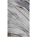 Vliesové fototapety textura stromu rozměr 150 cm x 250 cm - POSLEDNÍ KUSY