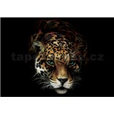Vliesové fototapety jaguár rozměr 368 cm x 254 cm - POSLEDNÍ KUSY
