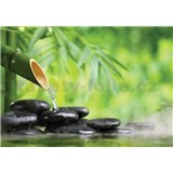 Vliesové fototapety lávové kameny a bambus rozměr 368 cm x 254 cm - POSLEDNÍ KUSY