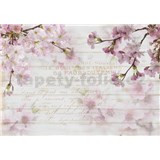 Vliesové fototapety květy sakury na dřevě rozměr 368 cm x 254 cm