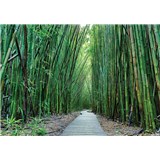 Vliesové fototapety bambus Vietnam rozměr 368 cm x 254 cm