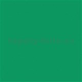 Samolepící tapety - zelená matná 45 cm x 15 m   AKCE