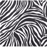 Samolepící tapety - zebra 90 cm x 15 m   AKCE