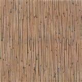 Samolepící tapety - bambus 67,5 cm x 2 m (cena za kus)   AKCE