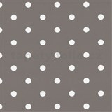 Samolepící tapety puntíky hnědo-šedé 45 cm x 15 m   AKCE
