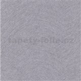 Vliesové tapety na zeď IMPOL Gentle stěrka světle šedá