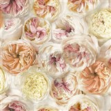 Vliesové tapety na zeď Facade pivoňky barevné - POSLEDNÍ KUSY