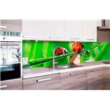 Samolepící tapety za kuchyňskou linku slunéčko sedmitečné rozměr 260 cm x 60 cm - POSLEDNÍ KUSY