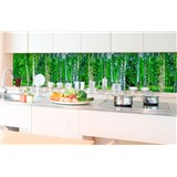 Samolepící tapety za kuchyňskou linku březový les rozměr 350 cm x 60 cm - POSLEDNÍ KUSY