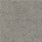 Vliesové tapety na zeď IMPOL  Basic moderní strukturovaná omítkovina hnědá