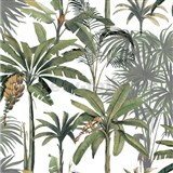 Vliesové tapety na zeď tropické rostliny