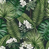 Vliesové tapety na zeď tropical listy na černém podkladu - POSLEDNÍ KUSY