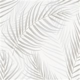 Vliesové tapety na zeď IMPOL GMK palmové listy hnědo-šedé na bílém podkladu