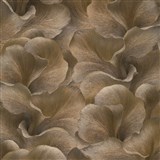 Vliesové tapety na zeď GMK Fashion for walls  5 florání vzor metalicky tmavě hnědý
