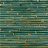Vliesové tapety na zeď IMPOL Wanderlust bambusový obklad zelený