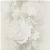 Vliesové tapety na zeď Aurora popínavé květy na krémovém podkladu