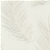 Vliesové tapety na zeď Aurora peříčka krémové na krémovém podkladu