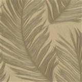 Vliesové tapety na zeď Aurora peříčka zlaté na zlatém podkladu