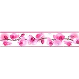 Samolepící bordura květy orchidejí růžové 5 m x 5,8 cm