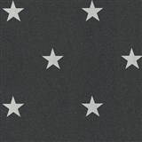 Vliesové tapety na zeď IMPOL stříbrné hvězdy na černém podkladu s třpytkami