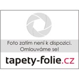 Samolepící folie  transparentní mléčná s dekorem 67,5 cm x 15 m - POSLEDNÍ METRY