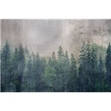 Vliesové fototapety koruny stromů rozměr 375 cm x 250 cm - POSLEDNÍ KUSY