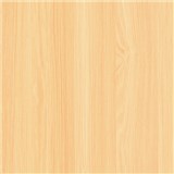 Speciální renovační fólie javor Ottawa 90 cm x 21 m