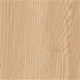 Speciální dveřní renovační fólie jasan Richmond 90 cm x 2,1 m (cena za kus)