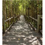 Vliesové fototapety mangrovový les rozměr 225 cm x 250 cm