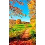 Vliesové fototapety louka rozměr 150 cm x 250 cm