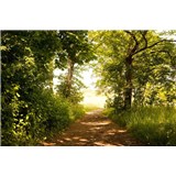 Vliesové fototapety lesní cesta rozměr 375 cm x 250 cm - POSLEDNÍ KUSY