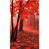 Vliesové fototapety mlhový les rozměr 150 cm x 250 cm