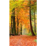 Vliesové fototapety les na podzim rozměr 150 cm x 250 cm