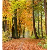 Vliesové fototapety les na podzim rozměr 225 cm x 250 cm