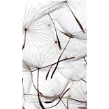 Vliesové fototapety létající pampelišky rozměr 150 cm x 250 cm - POSLEDNÍ KUSY