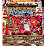 Vliesové fototapety graffiti ulice rozměr 225 cm x 250 cm