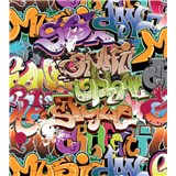 Vliesové fototapety graffiti rozměr 225 cm x 250 cm