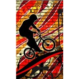 Vliesové fototapety bicycle red rozměr 150 cm x 250 cm