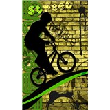 Vliesové fototapety bicycle green rozměr 150 cm x 250 cm