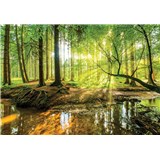 Vliesové fototapety les a potok 254 cm x 184 cm