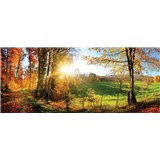 Vliesové fototapety slunce a les rozměr 250 cm x 104 cm