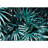 Vliesové fototapety palmové listy rozměr 368 cm x 254 cm