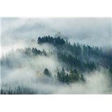 Vliesové fototapety lesy v mlze rozměr 368 cm x 254 cm
