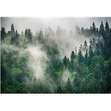Vliesové fototapety les v mlze rozměr 368 cm x 254 cm