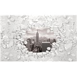 Vliesové fototapety 3D New York černo-bílý rozměr 416 cm x 254 cm