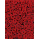 Fototapety červené růže rozměr 194 cm x 270 cm