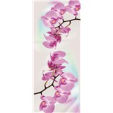 Vliesové fototapety orchidej rozměr 91 cm x 211 cm